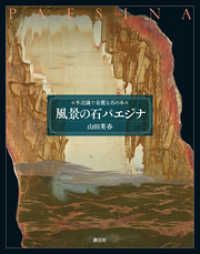 風景の石 パエジナ | 紀伊國屋書店 ウェブKinoppy