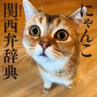 にゃんこ関西弁辞典 Kinoppy電子書籍ランキング